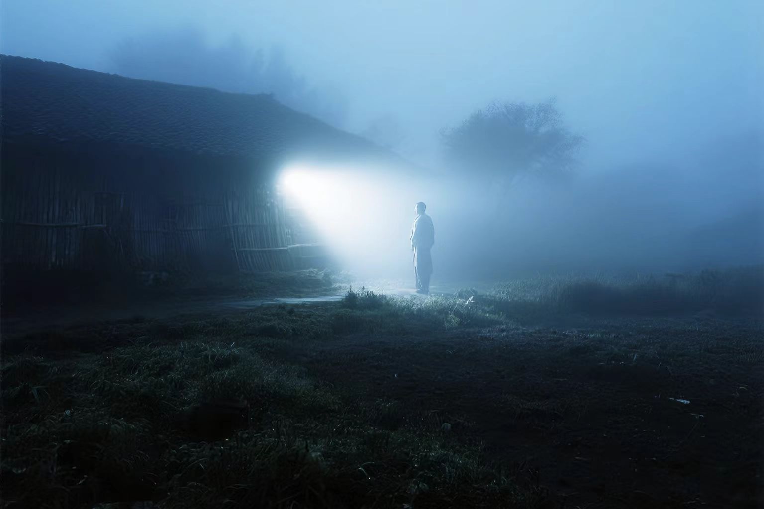 寻羊 Adventures in Search of a Sheep