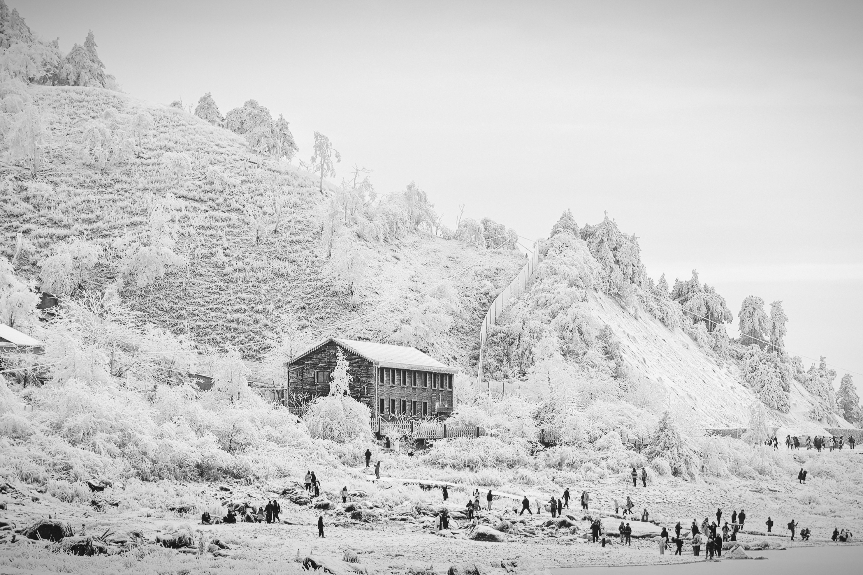 2024 中国龙奖 China Dragon Awards