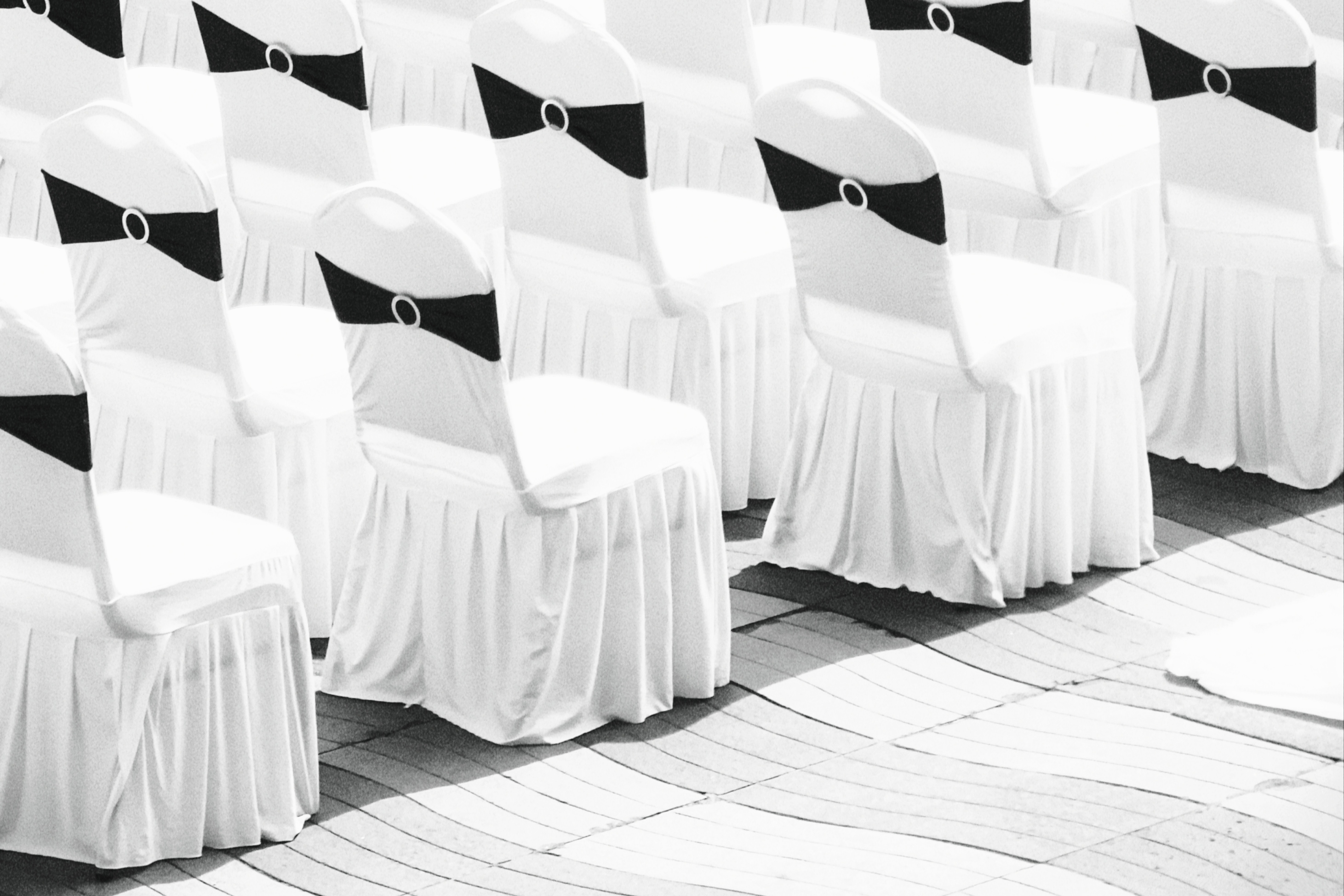 2024 小米上海手机摄影比赛