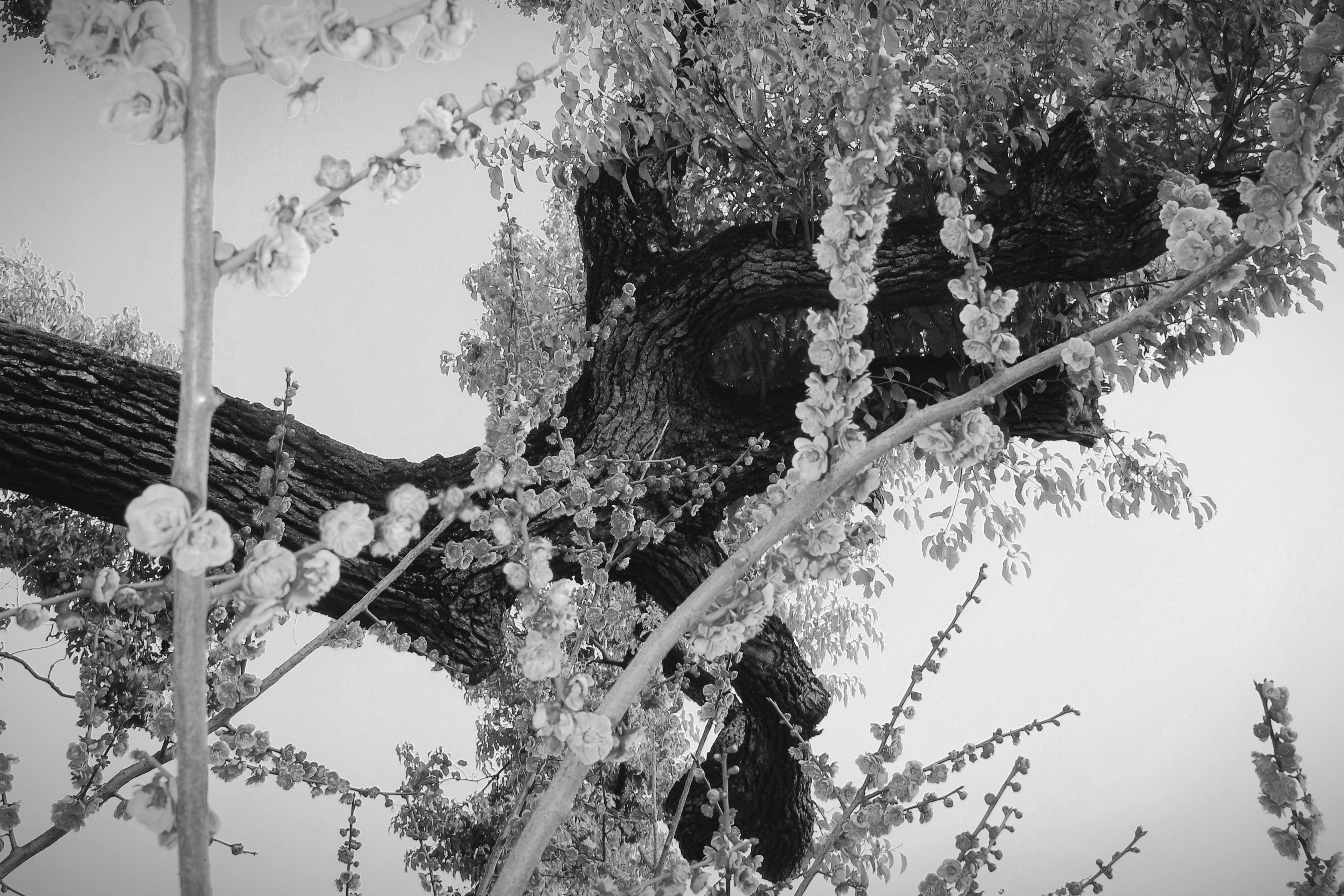 北京青年艺术100项目