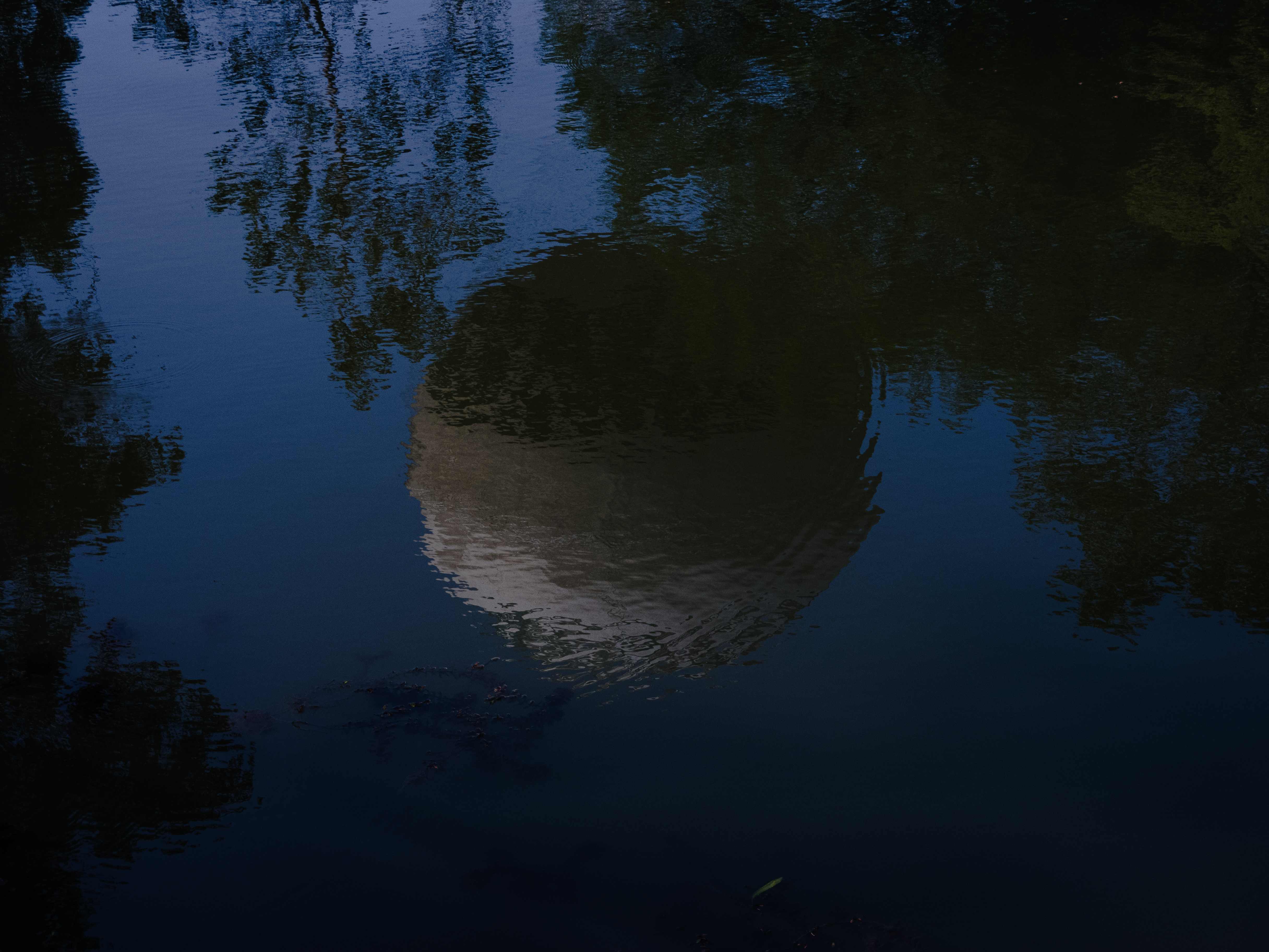 Dullya Photography Background