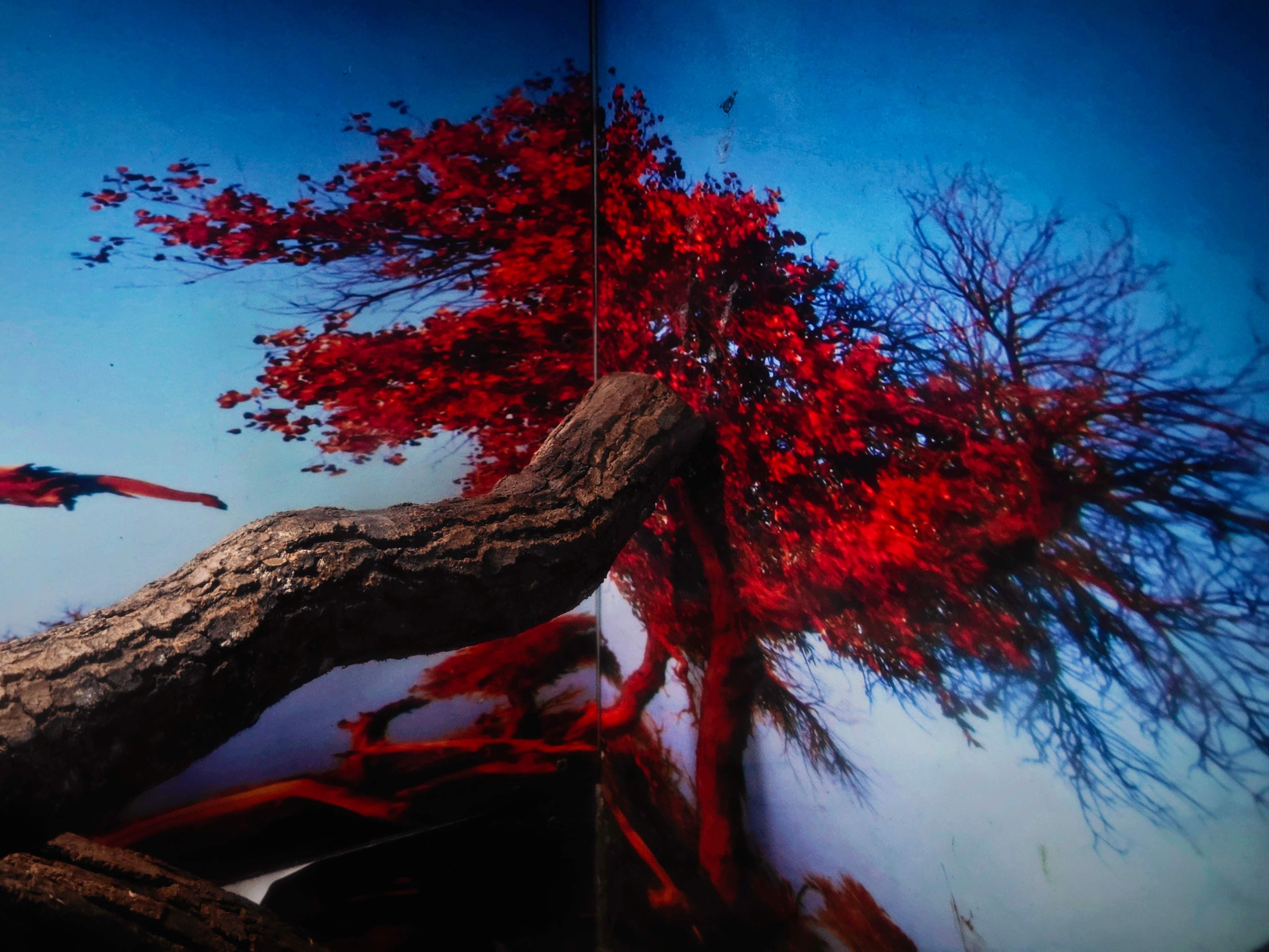 Portfolio Background